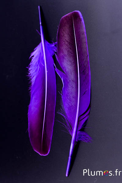 Canard - 18-20 cm, gauche et droite - aubergine-noir